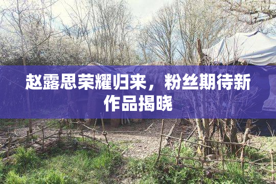 赵露思荣耀归来，粉丝期待新作品揭晓