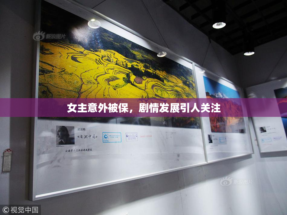 女主意外被保，剧情发展引人关注