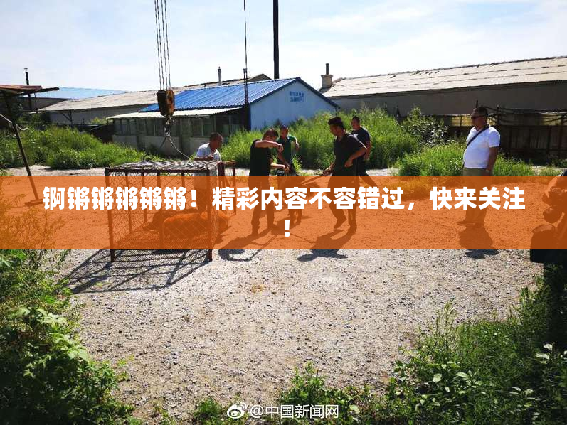 锕锵锵锵锵锵！精彩内容不容错过，快来关注！