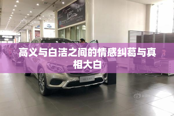 高义与白洁之间的情感纠葛与真相大白