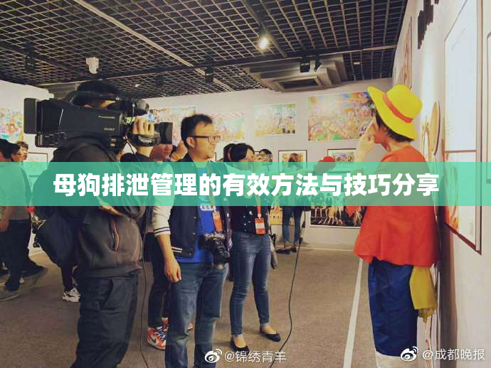 母狗排泄管理的有效方法与技巧分享