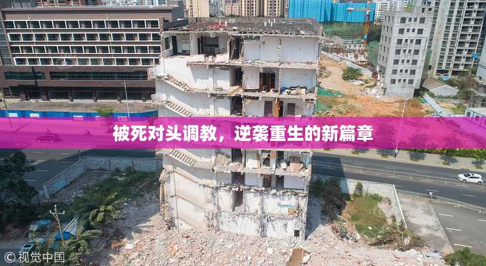 被死对头调教，逆袭重生的新篇章