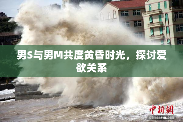 男S与男M共度黄昏时光，探讨爱欲关系