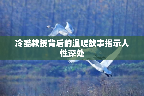 冷酷教授背后的温暖故事揭示人性深处
