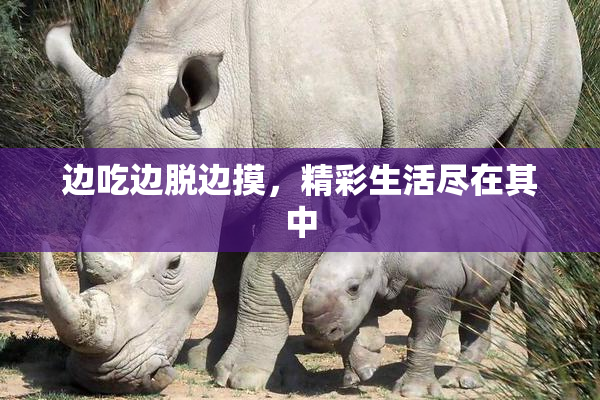 边吃边脱边摸，精彩生活尽在其中